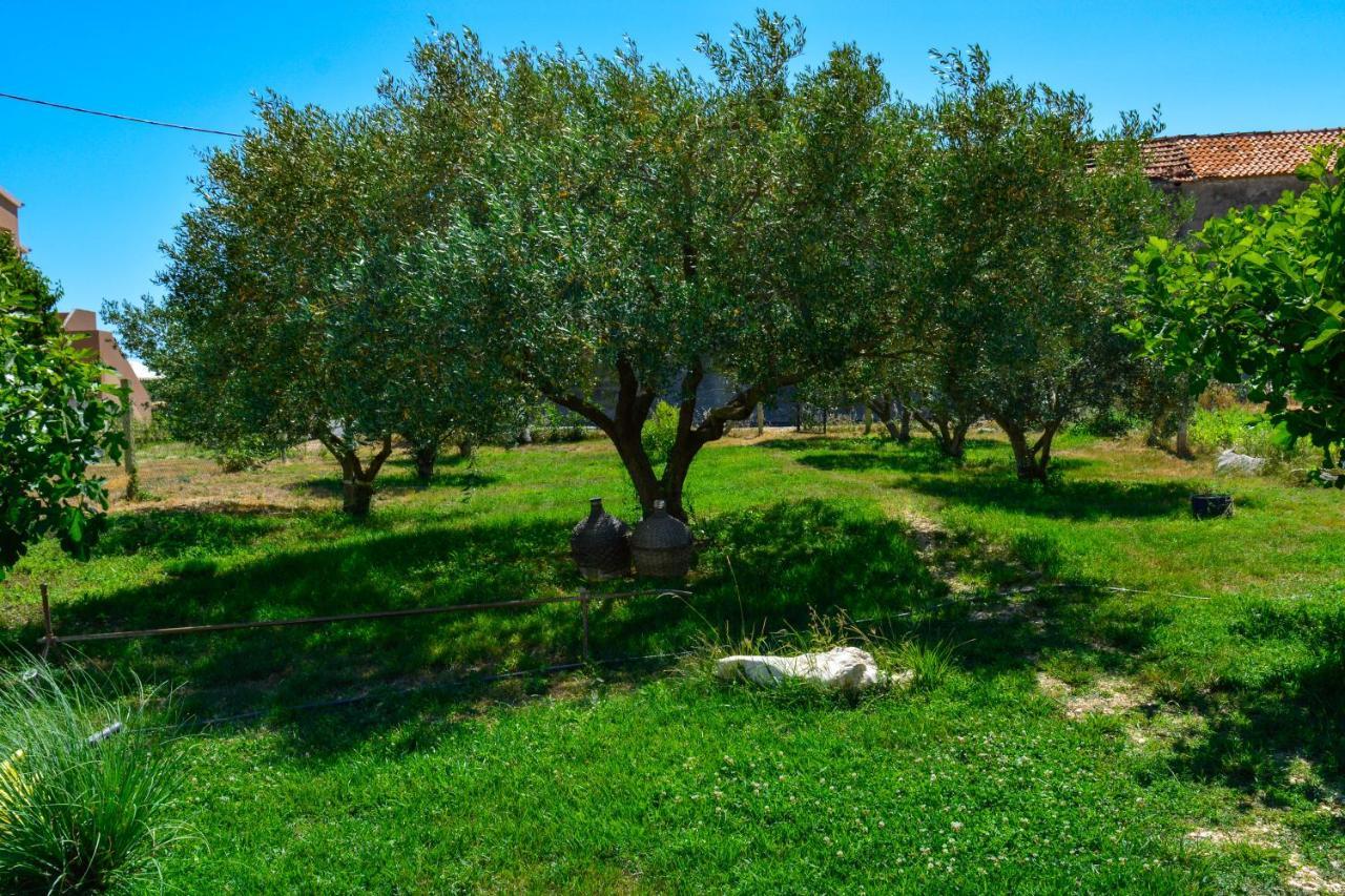 Villa Kutija Sveti Filip i Jakov Eksteriør billede